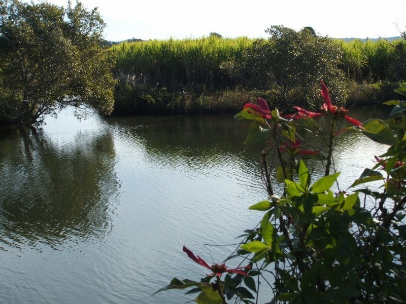 Palmers Channel NSW 2463