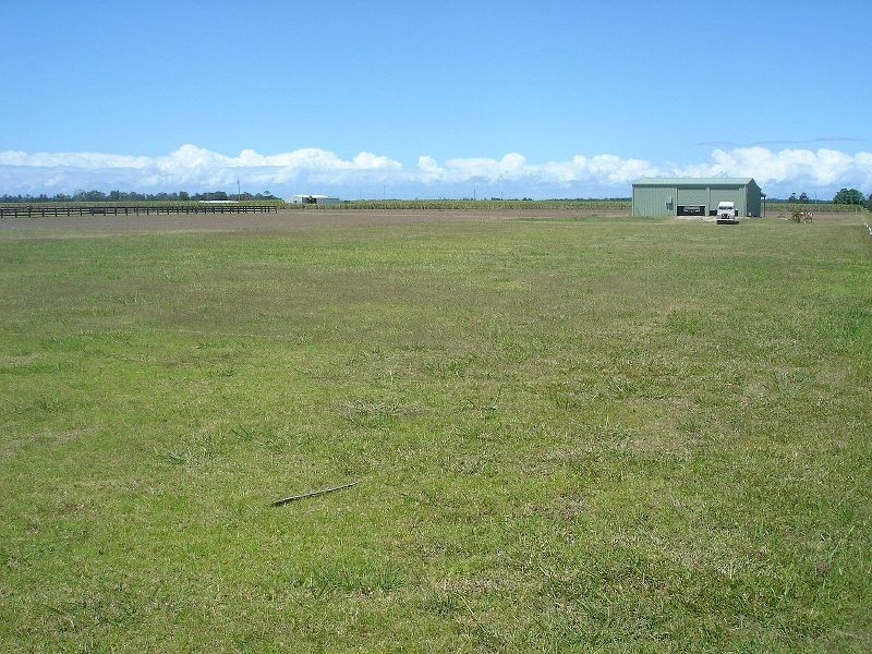 Palmers Island NSW 2463