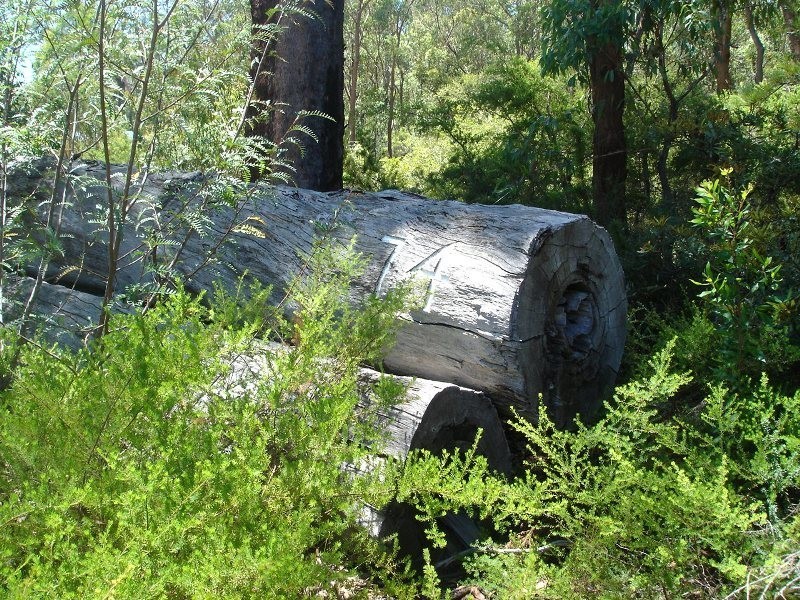 Ashby Heights NSW 2463