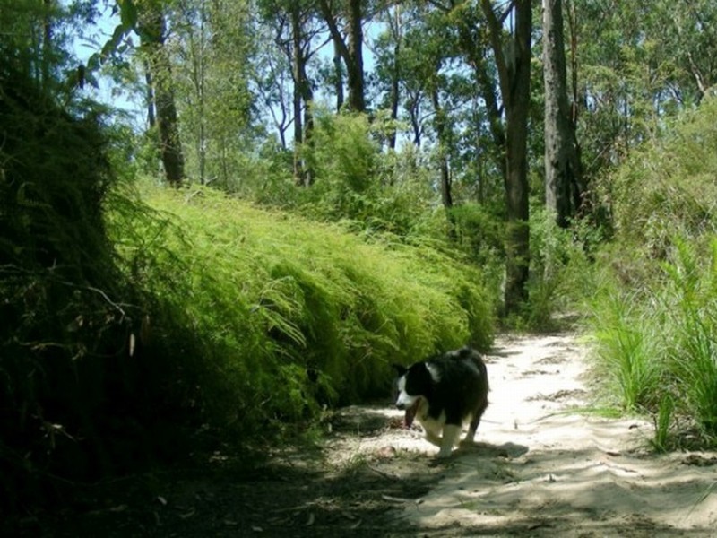 Ashby Heights NSW 2463