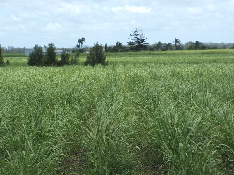 Palmers Channel NSW 2463