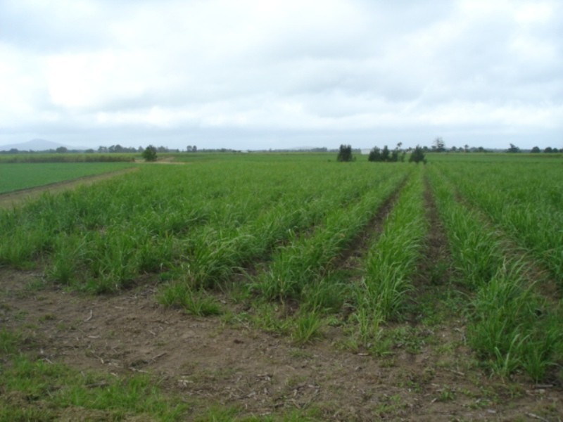 Palmers Channel NSW 2463