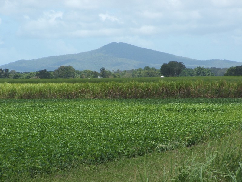 Palmers Channel NSW 2463