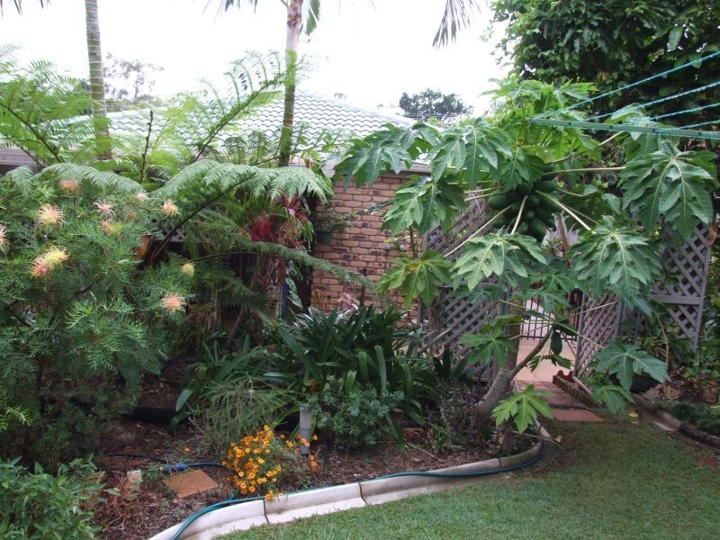 101 Broadwater Terrace, Redland Bay QLD 4165