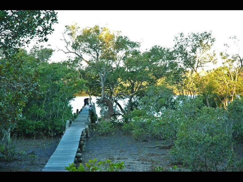 5 Albert Street, Redland Bay QLD 4165