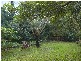 15 Gerard Avenue, Farmborough Heights NSW 2526