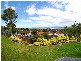 20 Clarence Court, Berkeley NSW 2506