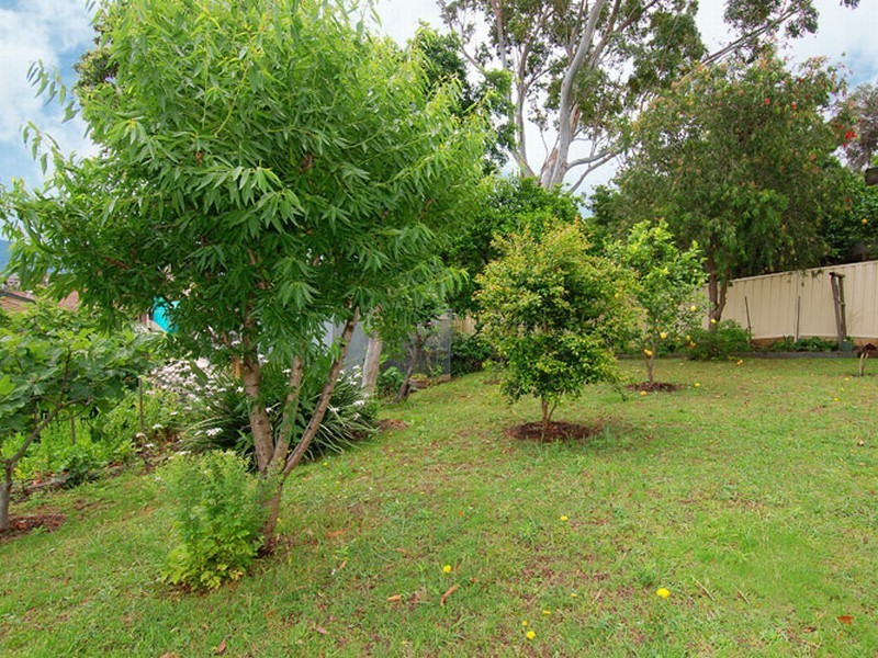 22 Field Street, Kanahooka NSW 2530