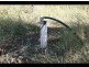 Maryvale QLD 4370