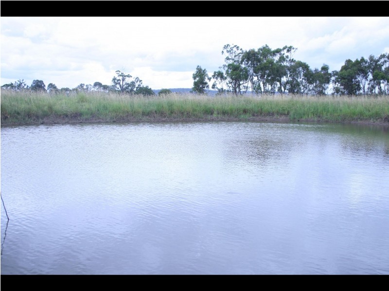 Warwick QLD 4370