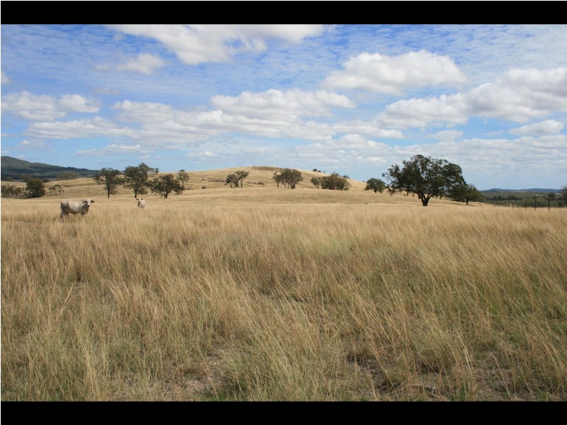 Warwick QLD 4370