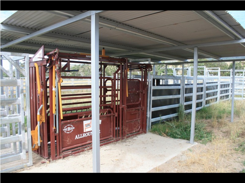 Warwick QLD 4370