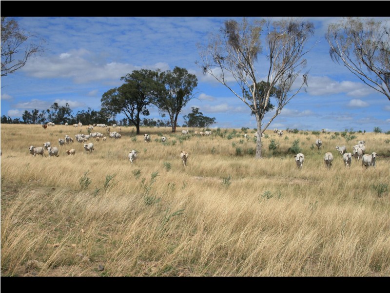 Warwick QLD 4370