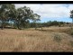 Texas QLD 4385