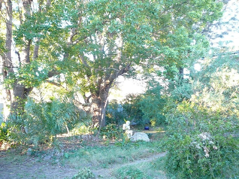 Warwick QLD 4370