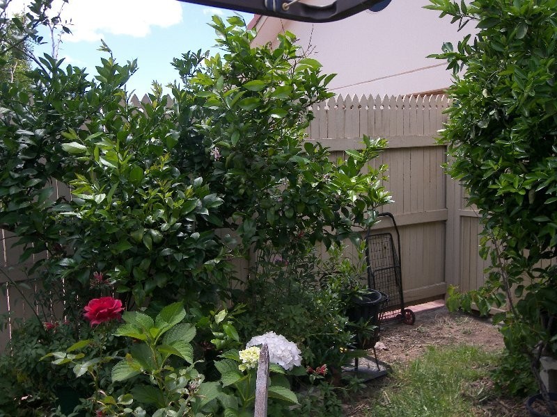 Warwick QLD 4370