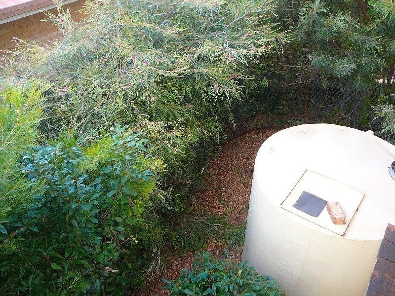 5 Wilkinson Street, Warwick QLD 4370