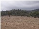 Ballandean QLD 4382
