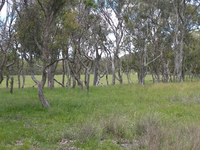 Warwick QLD 4370