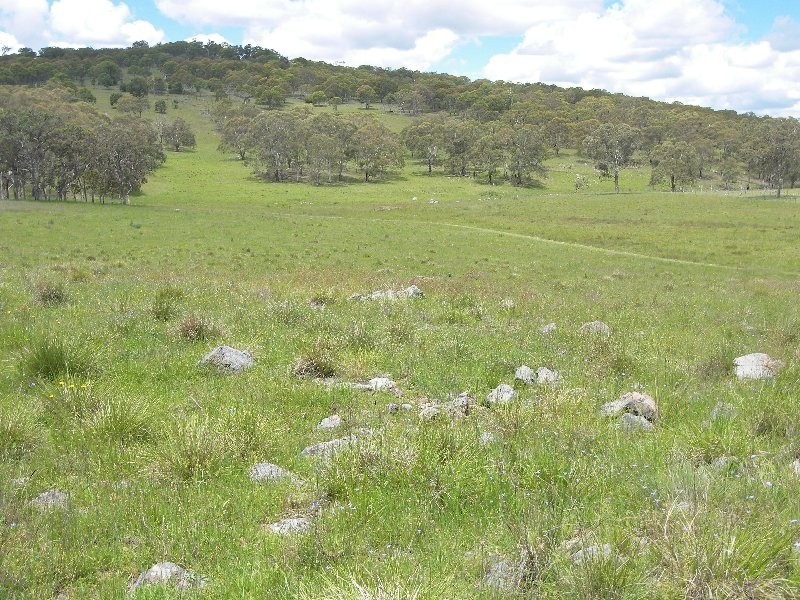 Warwick QLD 4370