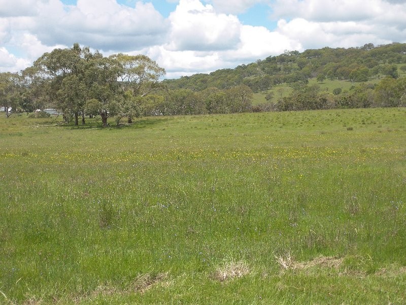 Warwick QLD 4370