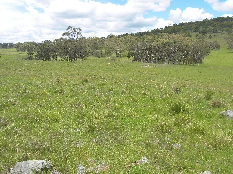 Warwick QLD 4370
