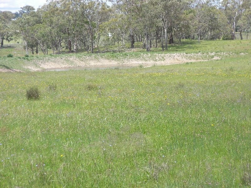 Warwick QLD 4370