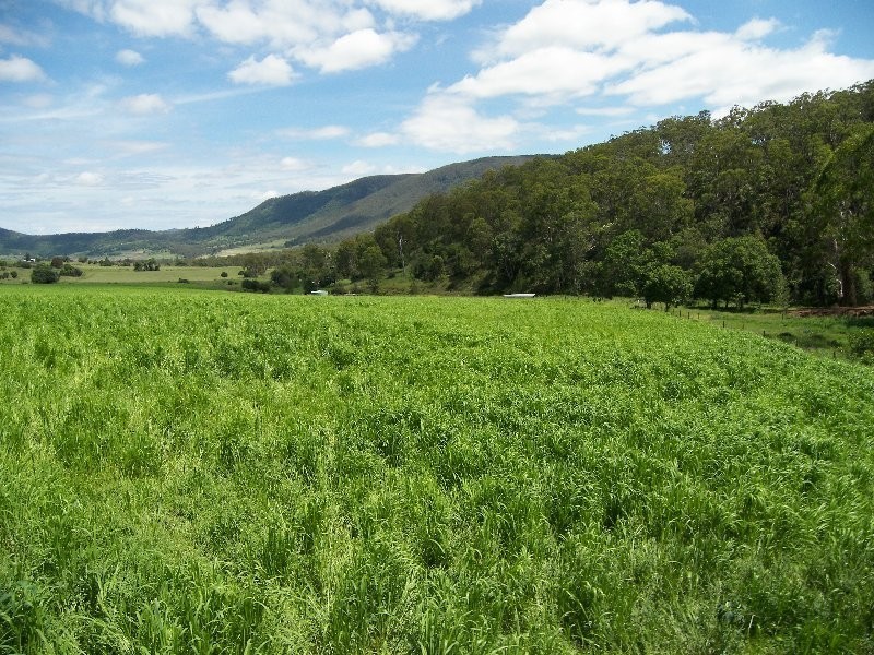 Warwick QLD 4370