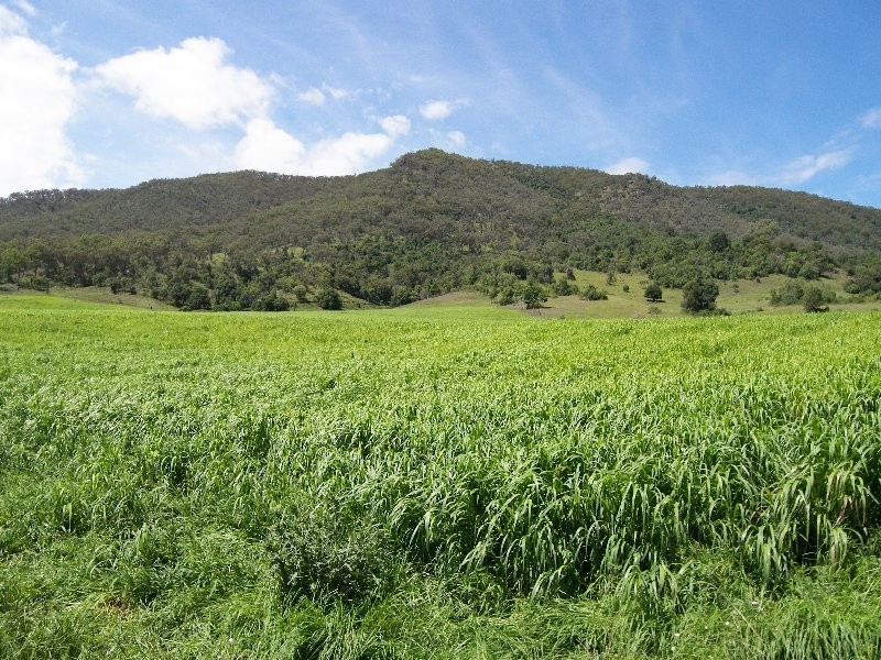 Warwick QLD 4370