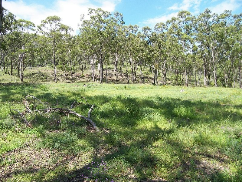 Warwick QLD 4370