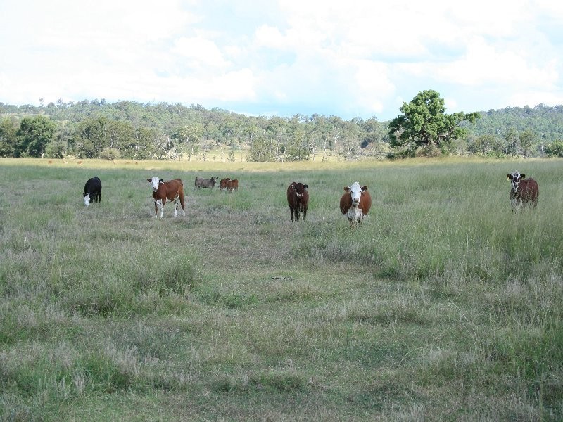 Warwick QLD 4370