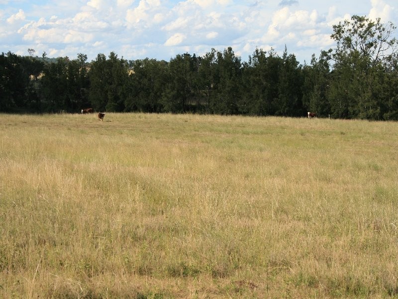 Warwick QLD 4370
