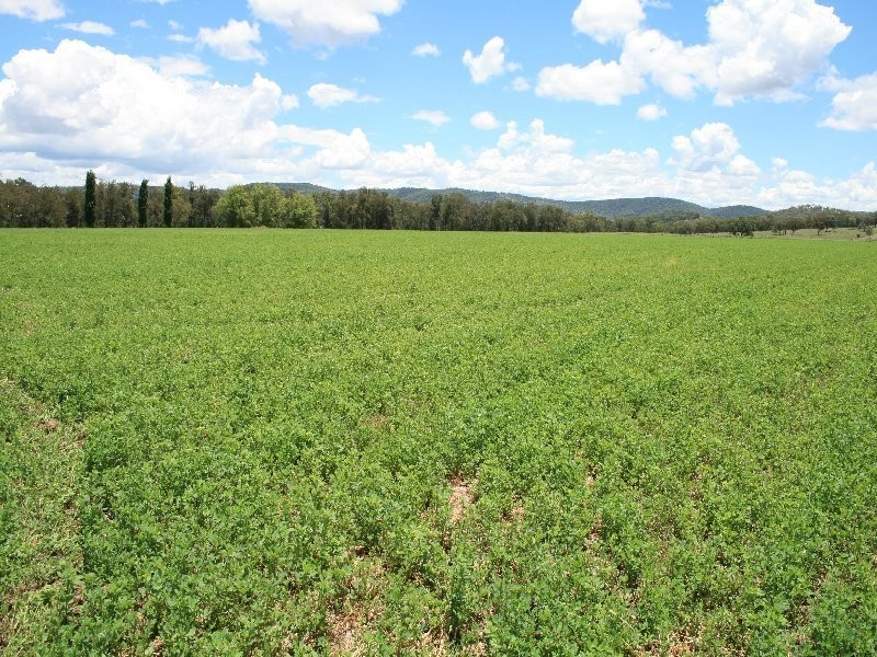 Tenterfield NSW 2372