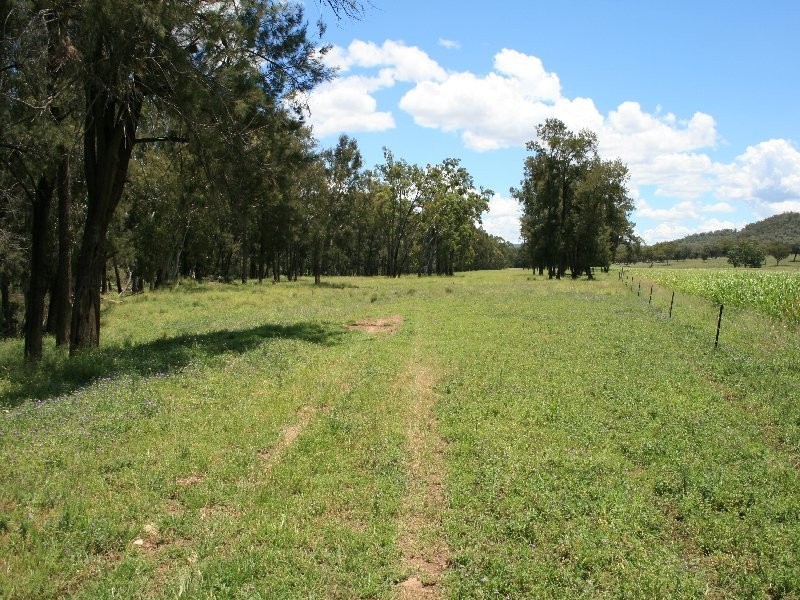 Tenterfield NSW 2372
