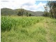 Tenterfield NSW 2372
