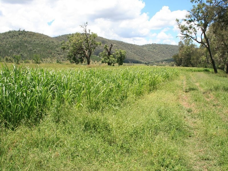 Tenterfield NSW 2372