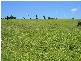 Killarney QLD 4373