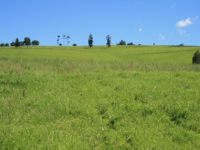 Killarney QLD 4373