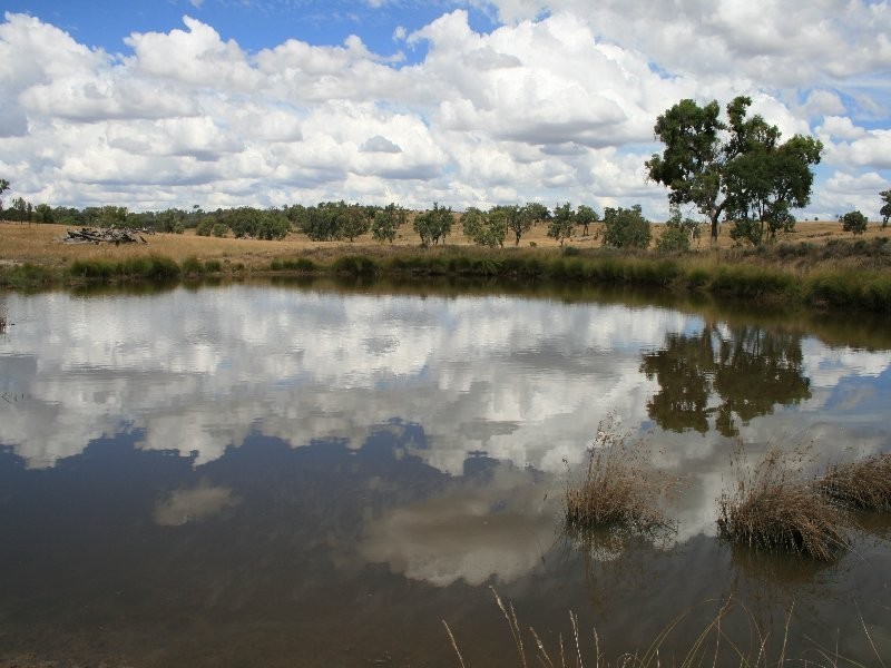 Warwick QLD 4370