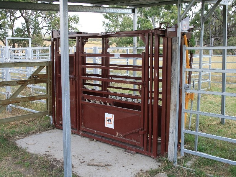 Warwick QLD 4370
