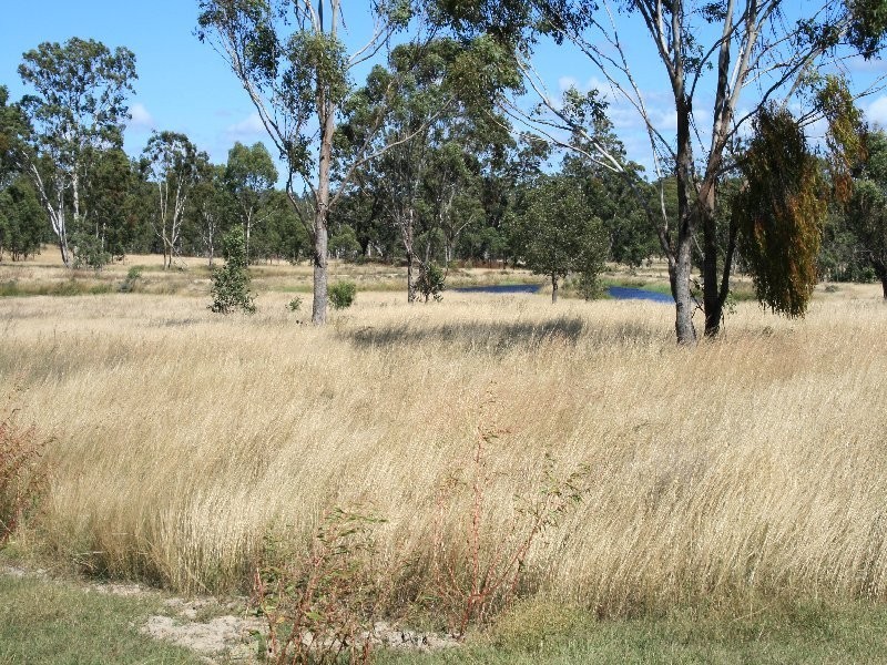 Warwick QLD 4370
