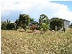Warwick QLD 4370