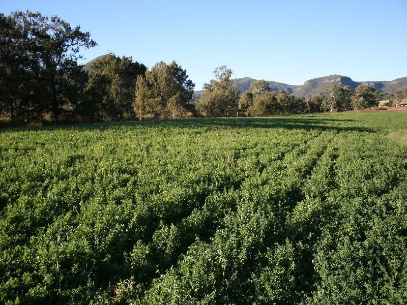 Killarney QLD 4373