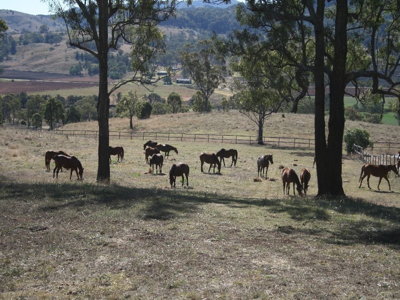 Killarney QLD 4373