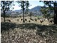 Killarney QLD 4373