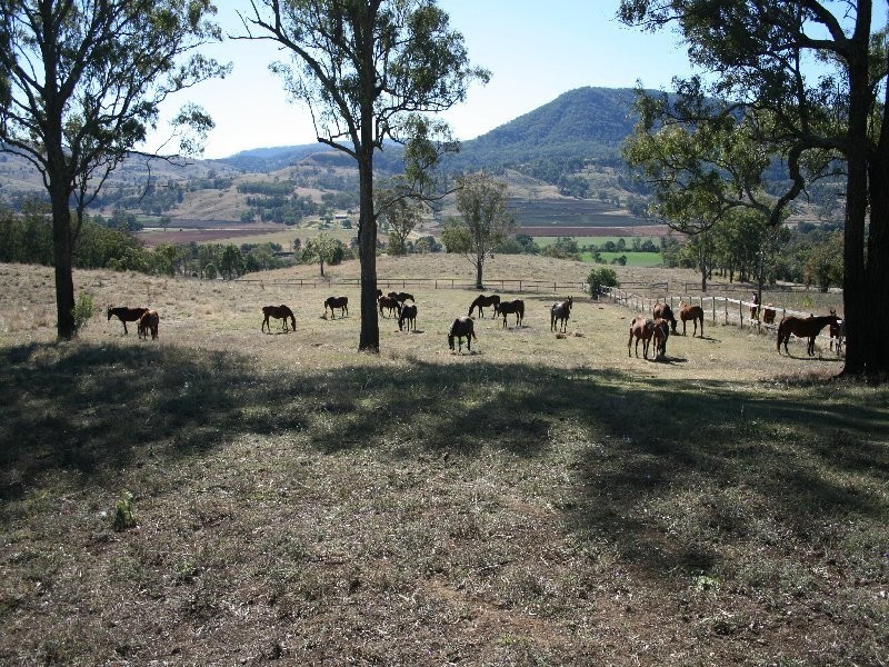 Killarney QLD 4373