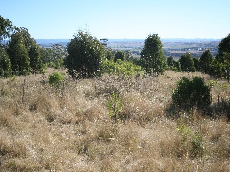 Killarney QLD 4373
