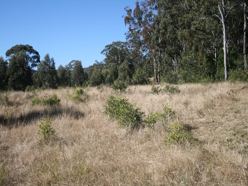 Killarney QLD 4373