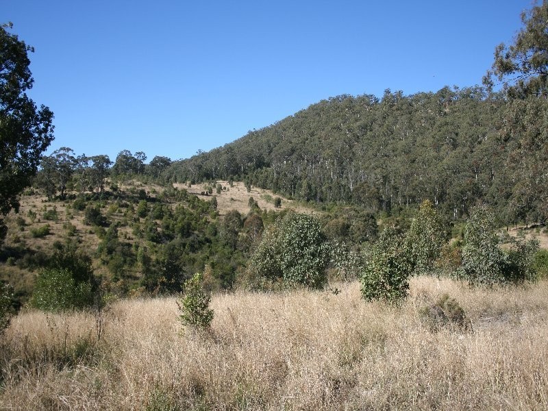 Killarney QLD 4373