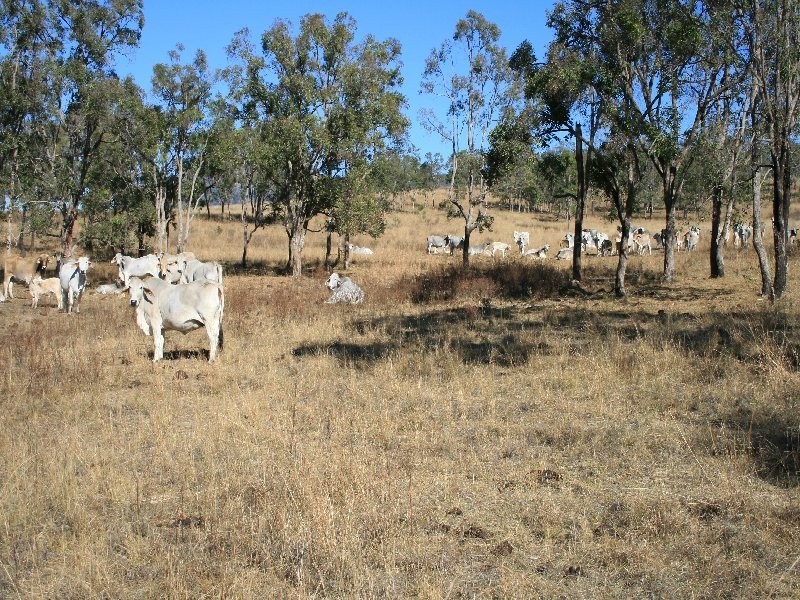 Warwick QLD 4370